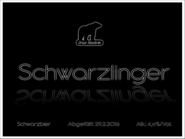 20160209_Schwarzlinger_HB.jpg
