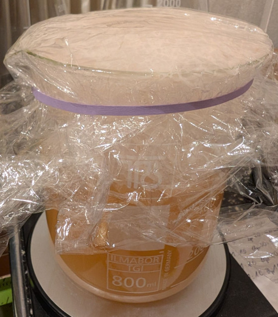 PXL_20250125_061952637.jpg (266.81 KiB) 9477 mal betrachtet Starter