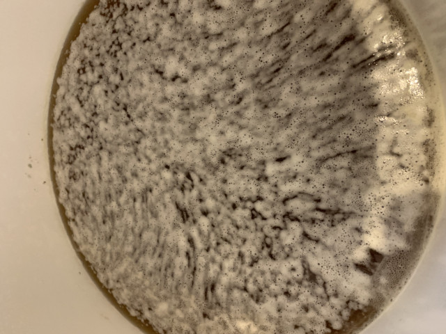 IMG_0886.jpeg