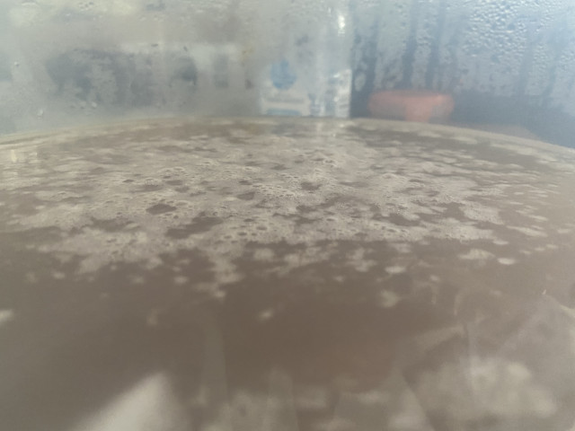 9130F5EA-2019-49B1-BC8A-A34E32298FF5.jpeg