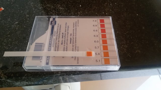 PH Wert passt schon fast. Habe schon 5ml Milchsäure hinzugegeben. Mal abwarten wie sich das entwickelt.