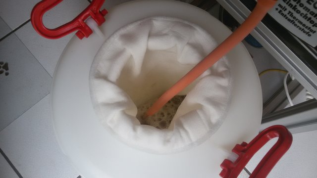 Die Stammwürze liegt bei ca. 14.5% Plato rund 1% höher als geplant. Als Freund kräftiger Biere werde nicht verdünnen.