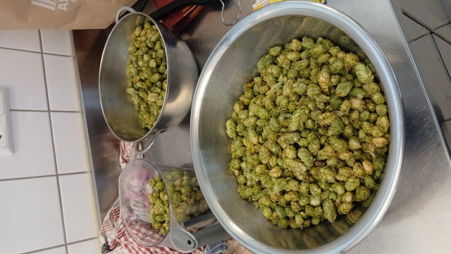 IMG-20250402-WA0007.jpeg