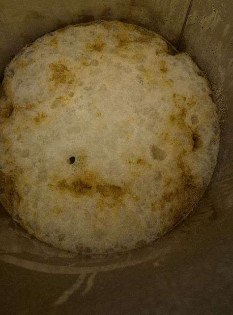IMG-20250502-WA0006.jpeg