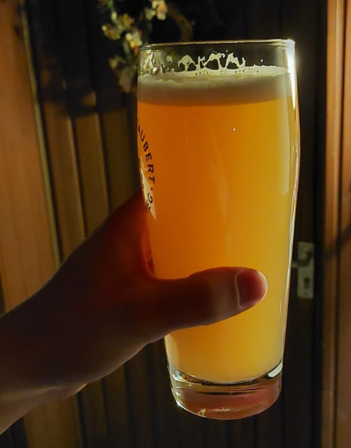 Bier 4-2.jpg