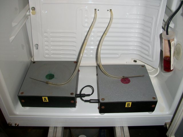 100_3104.jpg