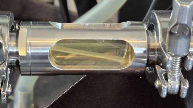 20250906_121003.jpg