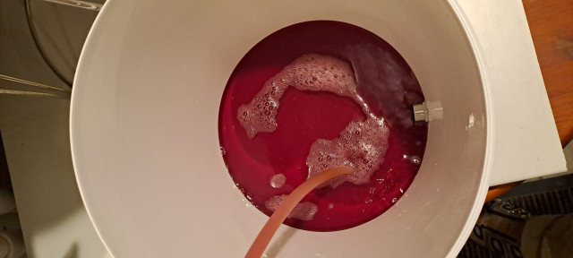 Die Farbe des Weins ist schon mal super