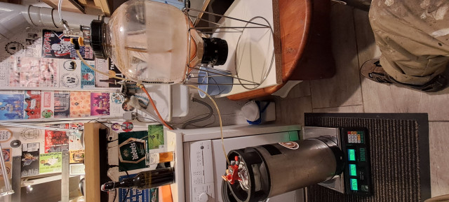 Das Bier wurde mit der Noble Saison von Gozdawa vergoren.