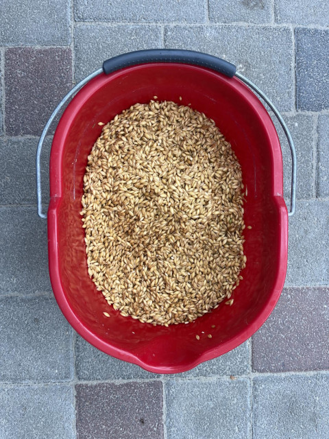 gewaschen und gequollen_.jpg