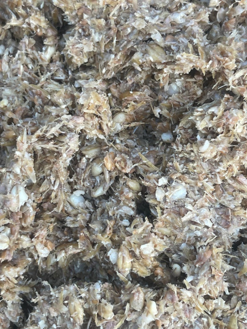 gemischter Treber.jpg