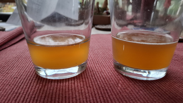 Rechts  Probe von Di_abend, li Mi_früh, deutliche Dunkelfärbung der 12h alten Prrobe, Geruch: überreife Mango