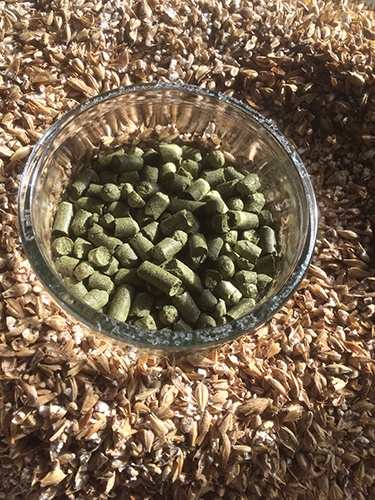 Hopfen und Malz ...