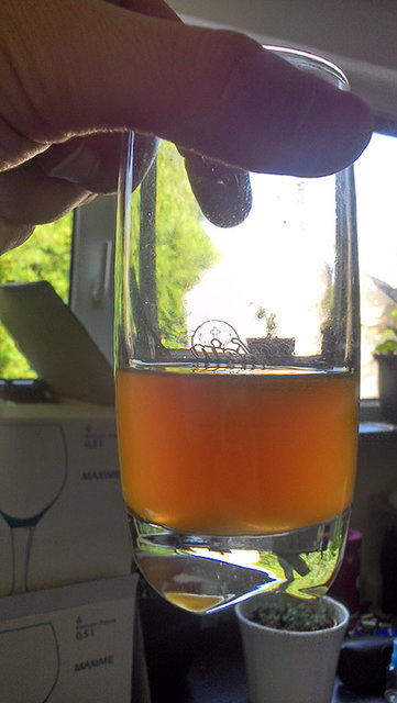 Sud-001-maerzen-stammwuerze-bestimmen.jpg