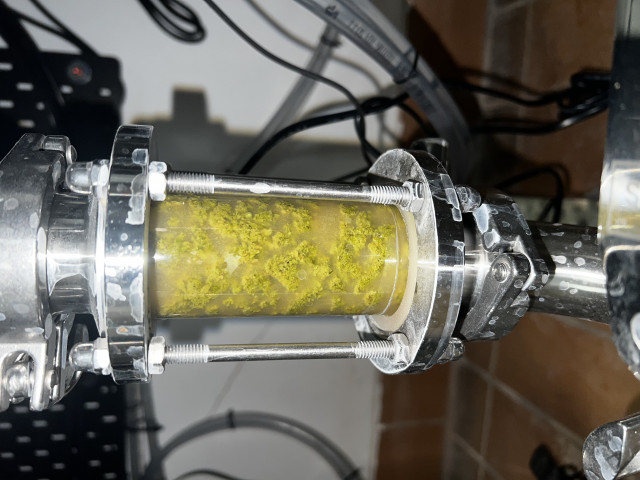 1,5" Sichtglas am Boden mit Hopfenpellets (5x CO2 gespült)