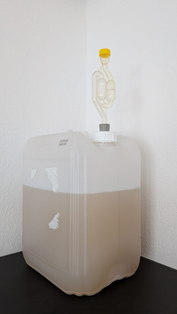 WhatsApp Image 2026-02-19 at 12.09.15.jpeg