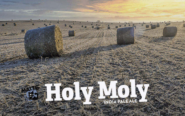 sh_holy-Moly.png