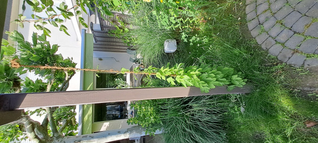 20260524_185835.jpg