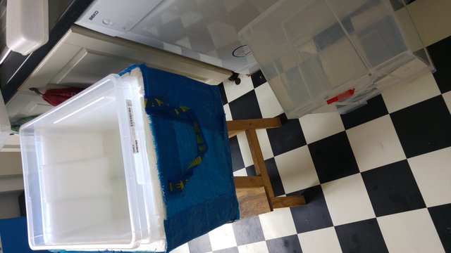 Mein ebenfalls &quot;cooler&quot; Maischekessel&quot;mit schwedischem Läuterboden