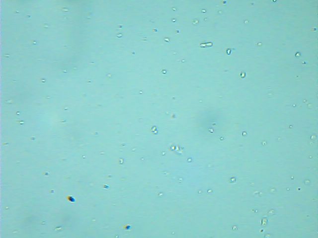 2015_11_03_Lot6_ÜS_1.jpg