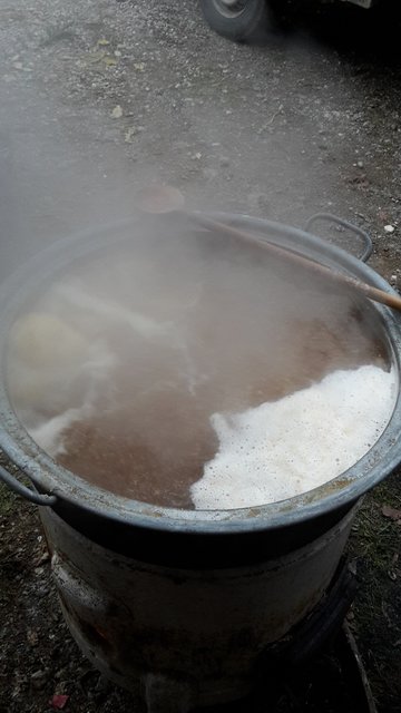 Hopfenkochen (abgeseiht wurde über einen selbstgebauten Schwanenhals und der Sud kommt in ein Speidelfass)