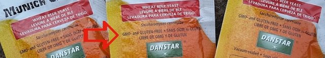 gmo_900.jpg