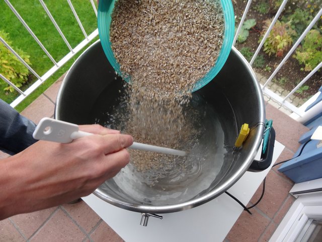 um 11:35 Uhr wird eingemaischt (Bohemian Pilsner, Pale Ale und etwas Cara Amber).
