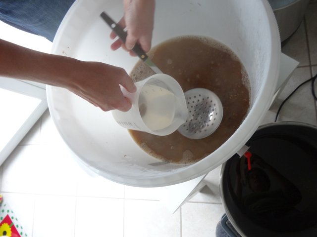 Das Läutern zieht sich, die Nachgüsse werden vorsichtig mit Messbecher und Schaumlöffel drauf gegossen... gegen Ende müssen wir dann aber doch zum ersten Mal den Treber etwas aufhacken, weil gar nichts mehr kommt und das Nachgusswasser kein Durchkommen hat. Hatten wir bislang noch nie. Aber Ende gut, alles gut.