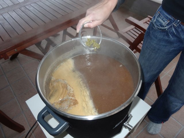 Die zweite Hopfengabe nach 10 Minuten (10 g Magnum), die nächste Hopfengabe folgt dann erst 10 Minuten vor Kochende.