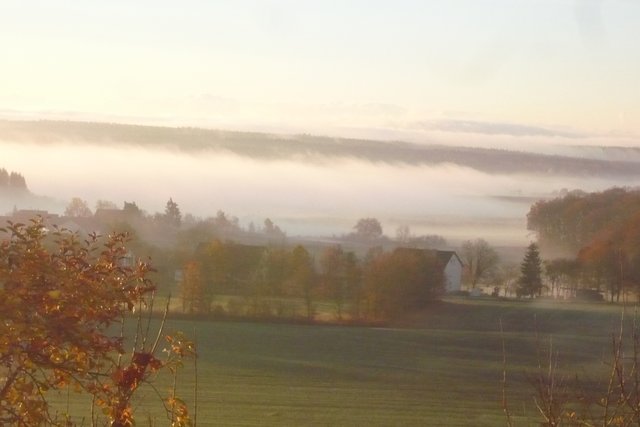 Morgennebel