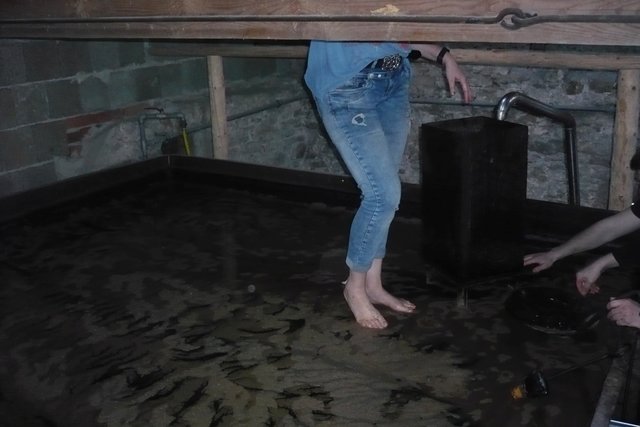 Kommunbrauen_16_KühlschifPutzen.JPG (588.82 KiB) 16529 mal betrachtet Barfuß in der Würze