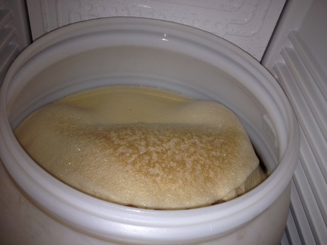 Kommunbrauen_20151109_081353_GärungAbfüllen.JPG (1.82 MiB) 16353 mal betrachtet Kühlschrank (max. 10°C)