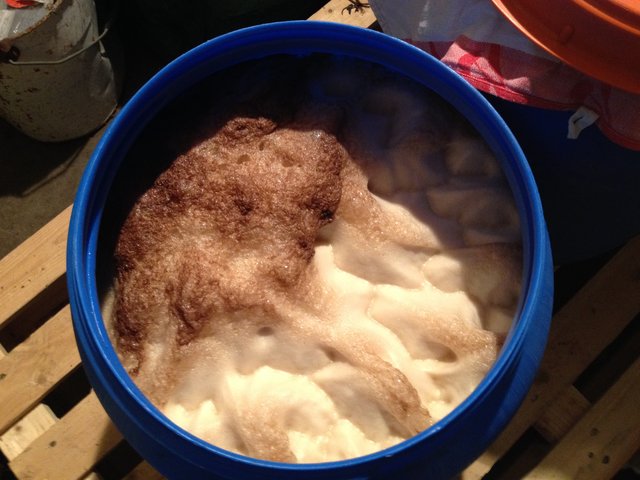 Kommunbrauen_20151109_185228_GärungAbfüllen.JPG (2.05 MiB) 16353 mal betrachtet Kräusen wie Schnee