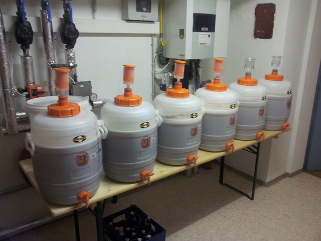 150L Bier vergären...