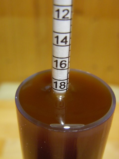 Weizen Porter.JPG