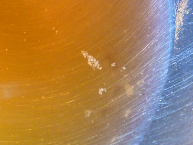 P1010738.JPG