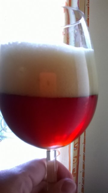 ungeklärtes Red X Bier