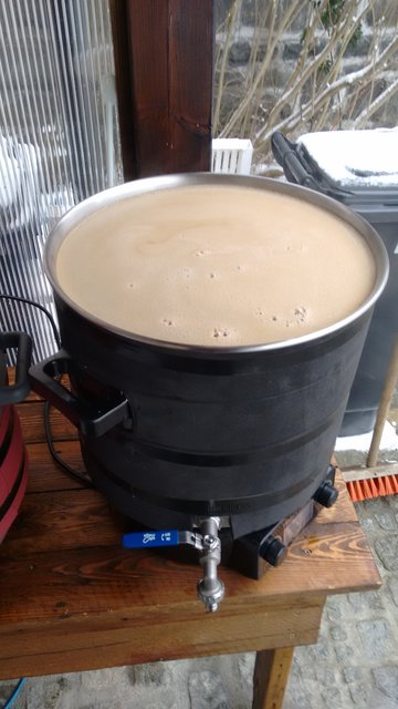 gleich kommt der erste Hopfen dazu