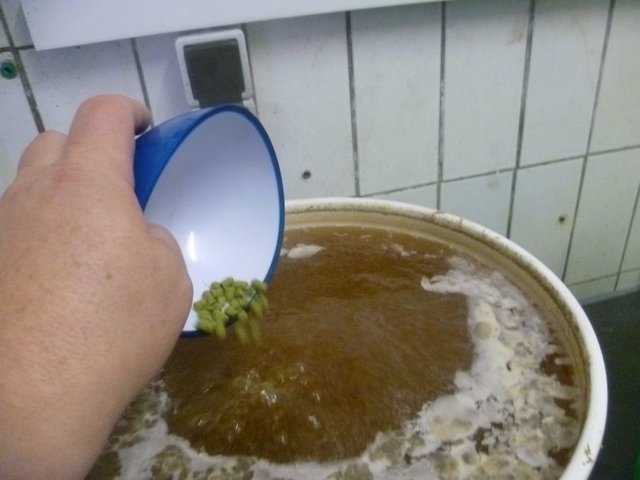 11 Zweite Hopfengabe.jpg