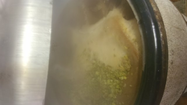 Hopfenkochen