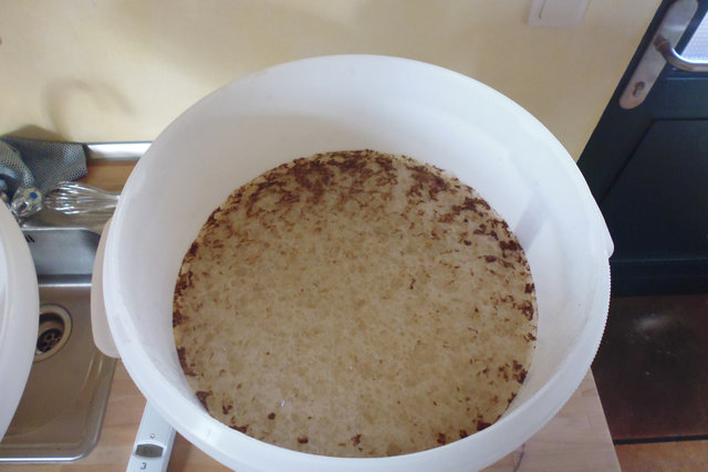 WYEAST #1084 bei der Arbeit