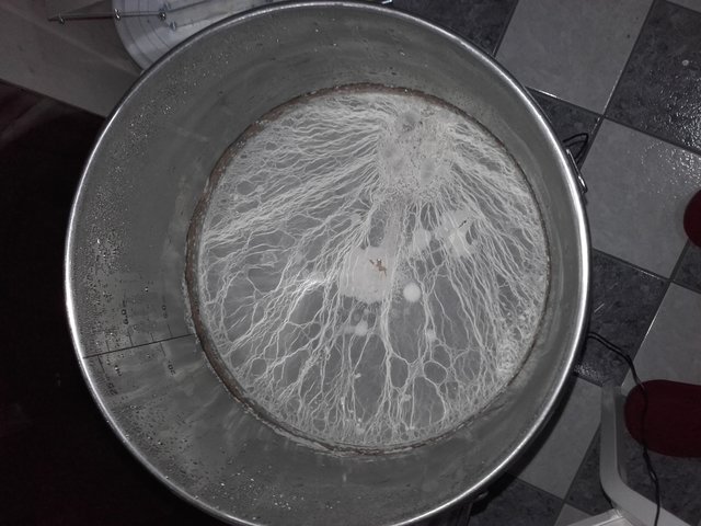 20151216_074551.jpg