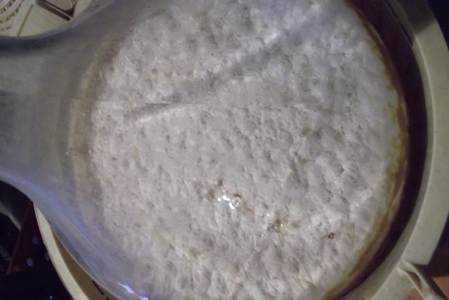 DSCF2383.JPG