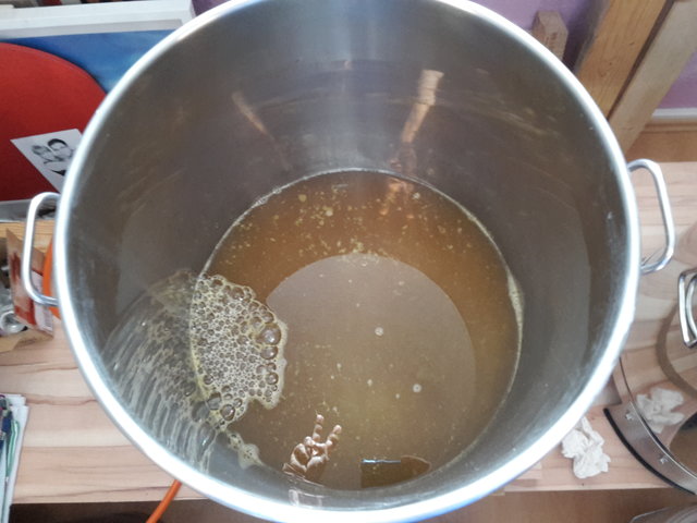VWH mit Tettnanger. Im Anschluss Northern Brewer und Hallertauer Tradition.