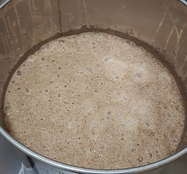 6_Hefe.jpg