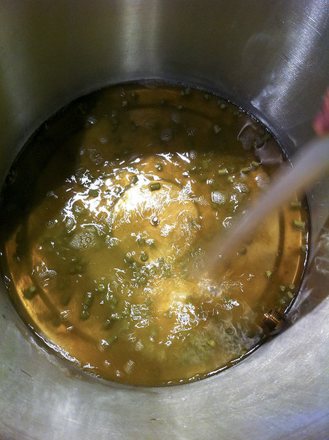 Hopfen für die VWH vorgelegt