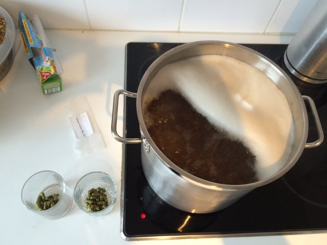 Hopfenkochen