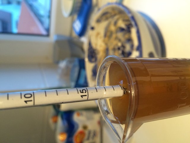 Stammwürze - 20,1 P bei 20°
