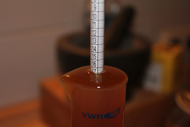 Stammwürze bei 24°C
