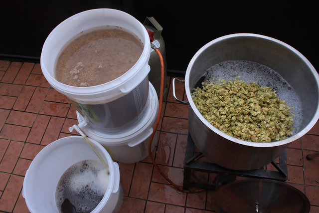 Vorderwürzhopfeng mit 100g Doldenhopfen
